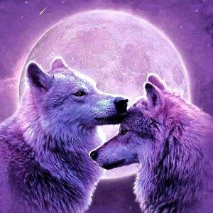 Meet your Posher, Sharron